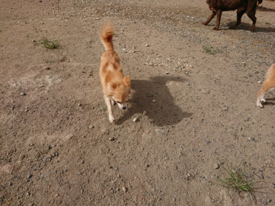 f:id:roukenhome-ann:20190816145906j:plain