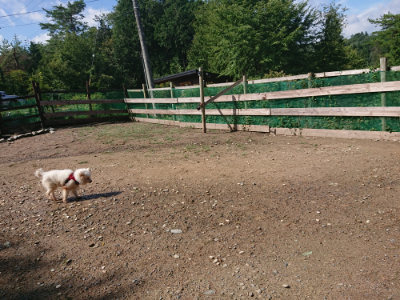 f:id:roukenhome-ann:20190816145912j:plain