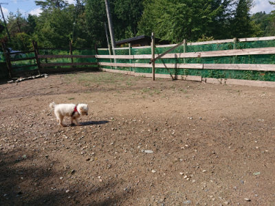 f:id:roukenhome-ann:20190816145936j:plain