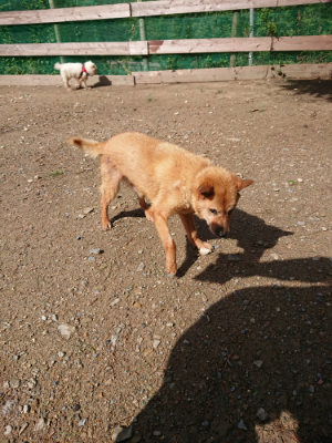 f:id:roukenhome-ann:20190816150032j:plain