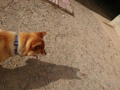 f:id:roukenhome-ann:20190816150039j:plain