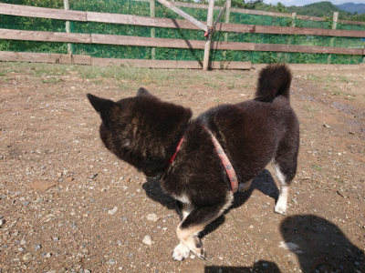 f:id:roukenhome-ann:20190816150134j:plain