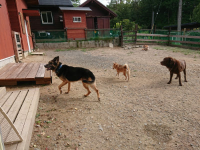 f:id:roukenhome-ann:20190816150237j:plain