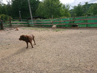 f:id:roukenhome-ann:20190816150245j:plain