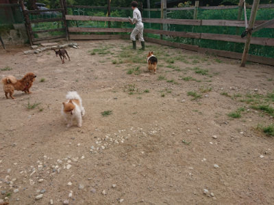 f:id:roukenhome-ann:20190816150308j:plain