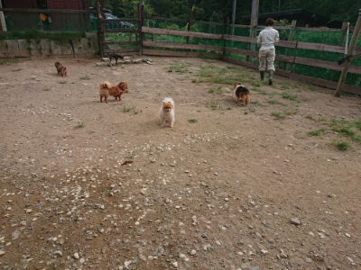 f:id:roukenhome-ann:20190816150420j:plain
