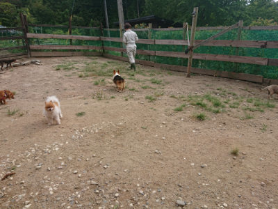 f:id:roukenhome-ann:20190816150427j:plain