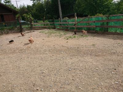f:id:roukenhome-ann:20190816150451j:plain