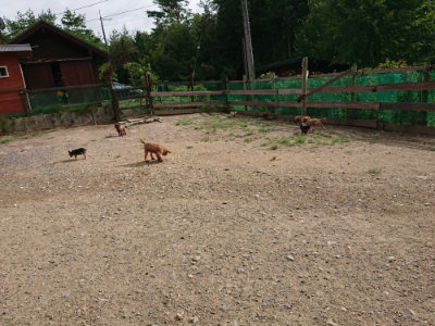 f:id:roukenhome-ann:20190816150457j:plain