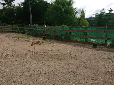 f:id:roukenhome-ann:20190816150522j:plain