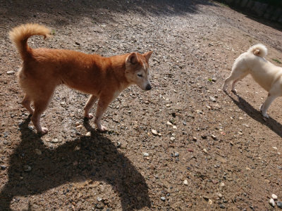 f:id:roukenhome-ann:20190816150557j:plain