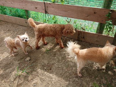 f:id:roukenhome-ann:20190816150700j:plain