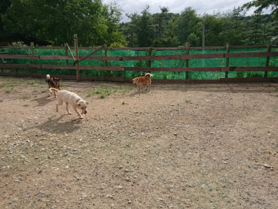 f:id:roukenhome-ann:20190816150734j:plain