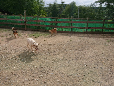f:id:roukenhome-ann:20190816150740j:plain