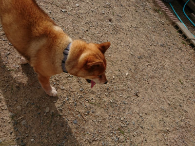 f:id:roukenhome-ann:20190816150808j:plain