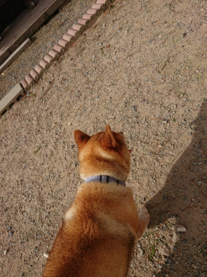 f:id:roukenhome-ann:20190816150813j:plain