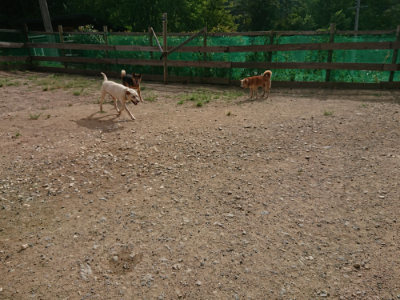 f:id:roukenhome-ann:20190816150903j:plain