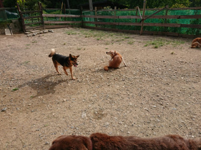 f:id:roukenhome-ann:20190816151001j:plain