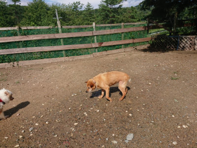 f:id:roukenhome-ann:20190816151007j:plain