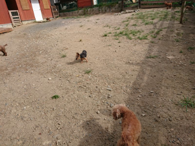 f:id:roukenhome-ann:20190816151129j:plain
