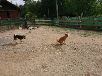 f:id:roukenhome-ann:20190816151220j:plain
