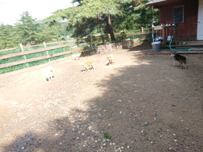 f:id:roukenhome-ann:20190816171735j:plain