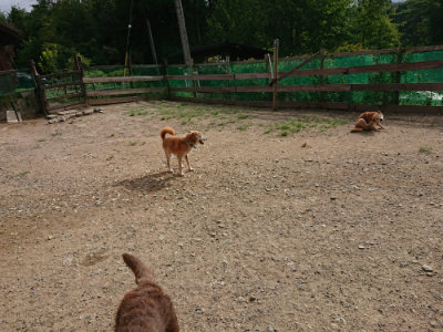 f:id:roukenhome-ann:20190816171813j:plain