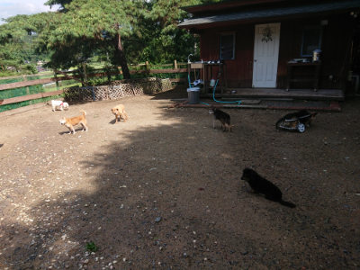 f:id:roukenhome-ann:20190816171824j:plain