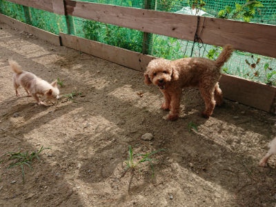 f:id:roukenhome-ann:20190816171913j:plain