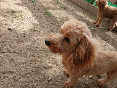 f:id:roukenhome-ann:20190816171947j:plain