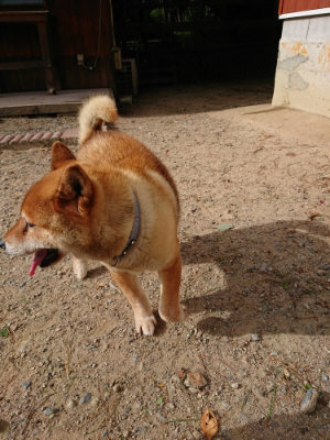 f:id:roukenhome-ann:20190816172024j:plain