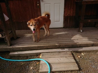 f:id:roukenhome-ann:20190816172031j:plain