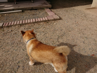 f:id:roukenhome-ann:20190816172111j:plain