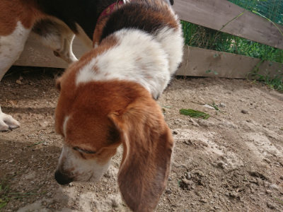 f:id:roukenhome-ann:20190816175704j:plain