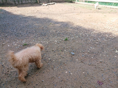 f:id:roukenhome-ann:20190816175805j:plain