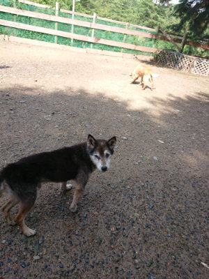 f:id:roukenhome-ann:20190816175837j:plain