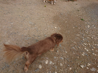 f:id:roukenhome-ann:20190816181431j:plain