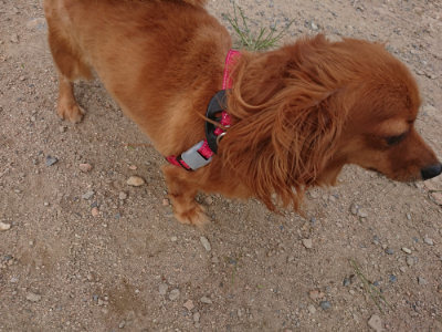 f:id:roukenhome-ann:20190816181551j:plain