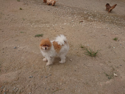 f:id:roukenhome-ann:20190816181626j:plain