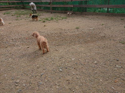 f:id:roukenhome-ann:20190816181635j:plain