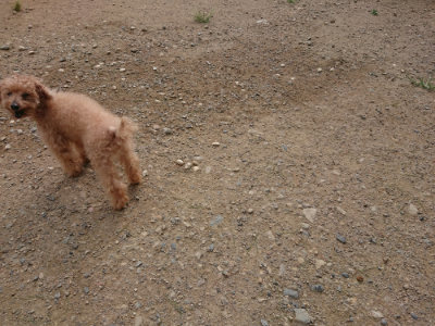 f:id:roukenhome-ann:20190816181720j:plain
