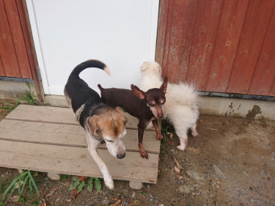 f:id:roukenhome-ann:20190816181815j:plain
