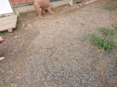 f:id:roukenhome-ann:20190816181941j:plain