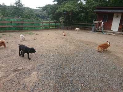 f:id:roukenhome-ann:20190816182027j:plain