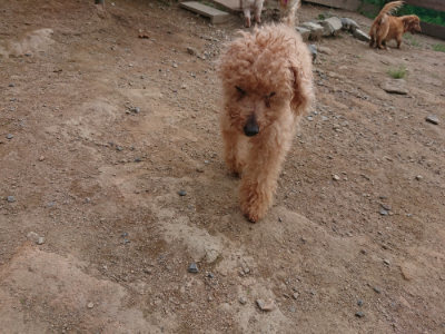 f:id:roukenhome-ann:20190816182036j:plain