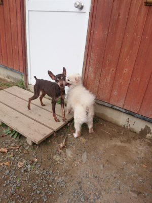 f:id:roukenhome-ann:20190816182156j:plain