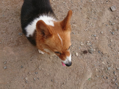 f:id:roukenhome-ann:20190816182303j:plain