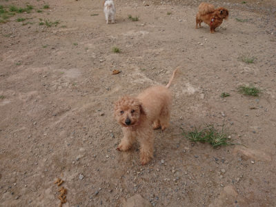 f:id:roukenhome-ann:20190816182334j:plain
