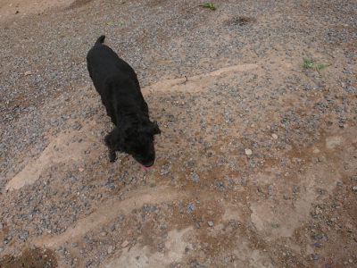 f:id:roukenhome-ann:20190816182400j:plain