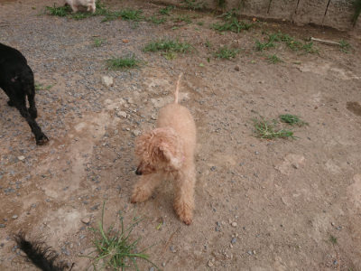 f:id:roukenhome-ann:20190816182409j:plain